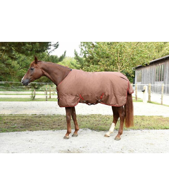 RugBe Winterdecke IceProtect 300gr. darkbrown/red, 165cm