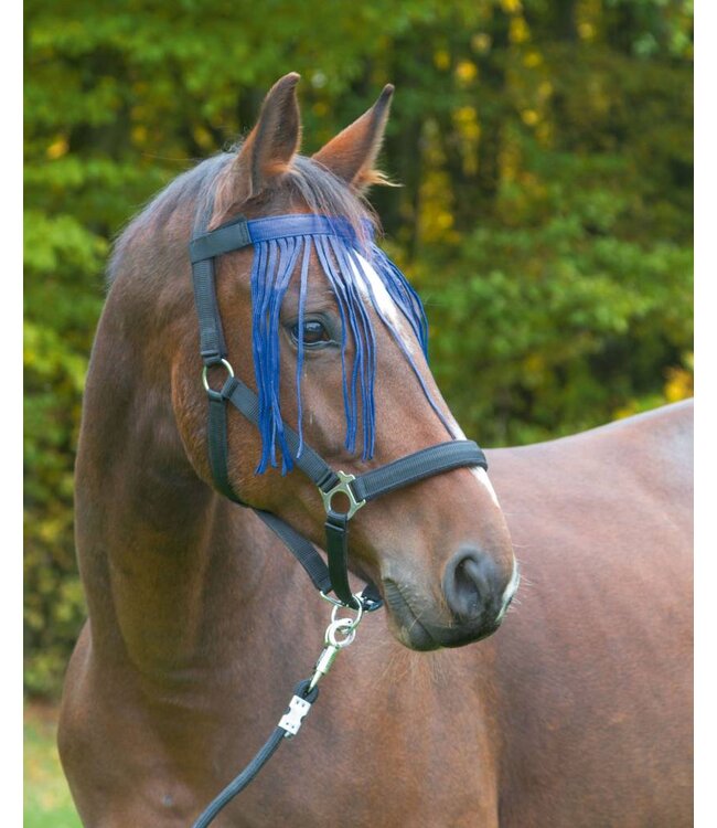 Fliegenfransenband mit Velcro- Verschluß, blau, VB