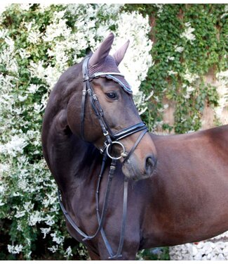 Fliegenhaube Excelsior