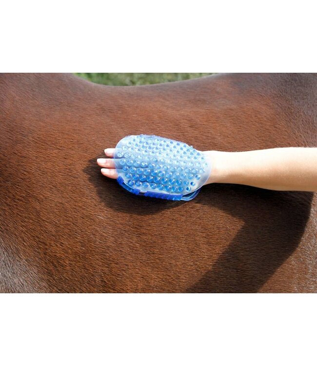 Magnet-Massage-Striegel royalblau