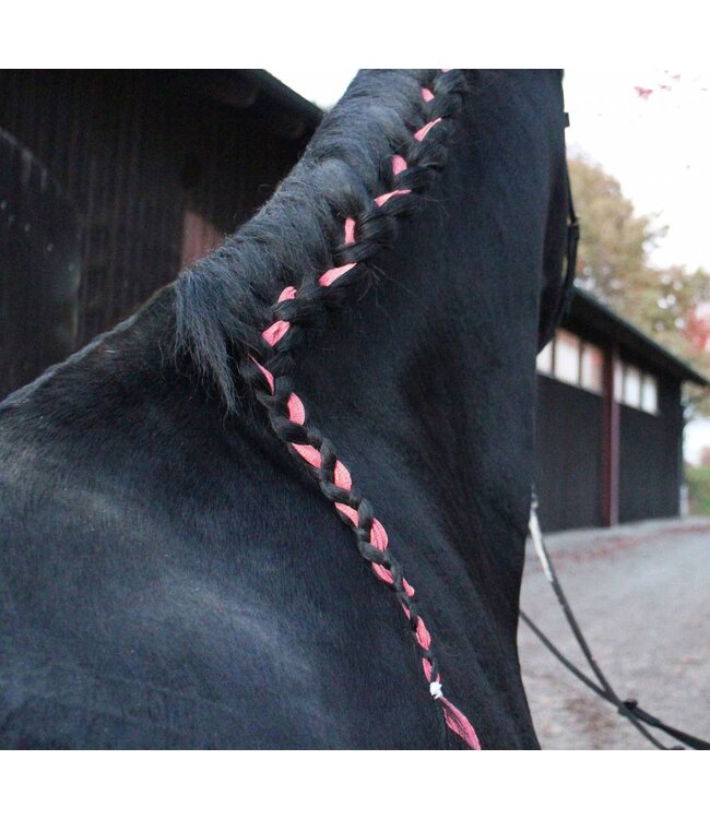 Einflechtband Equilastic, neonpink, 4,5 m x 12,5 mm