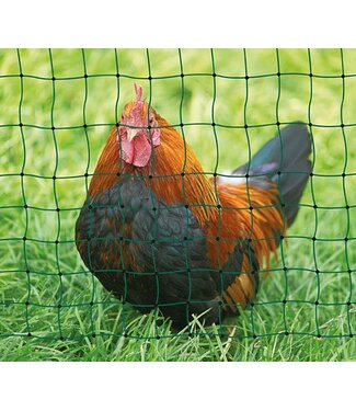 Geflügelnetz PoultryNet grün  Doppel oder Einzelspitze