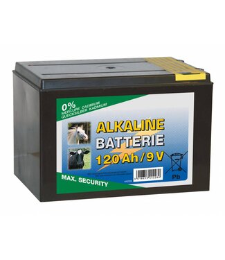 Euroguard ALKALINE Trockenbatterie 9 Volt