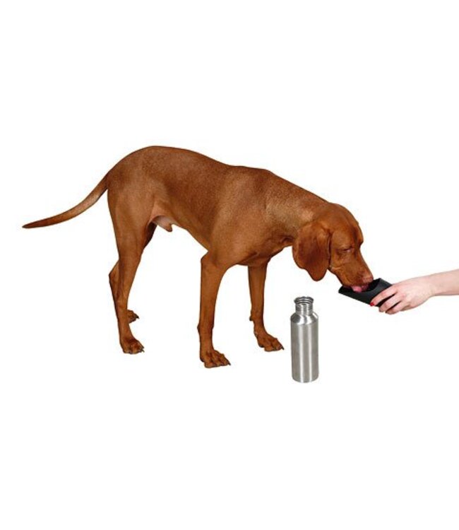 Reisetrinkflasche Edelstahl