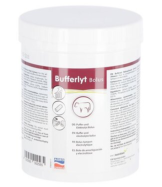 Bufferlyt Bolus 13 g 15 Stk Packung