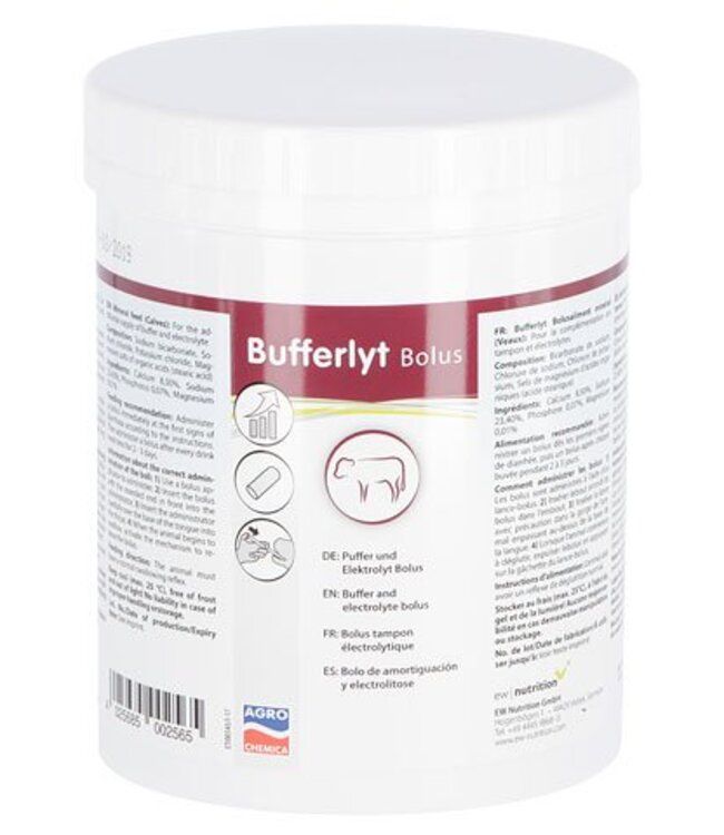 Bufferlyt Bolus 13 g 15 Stk Packung