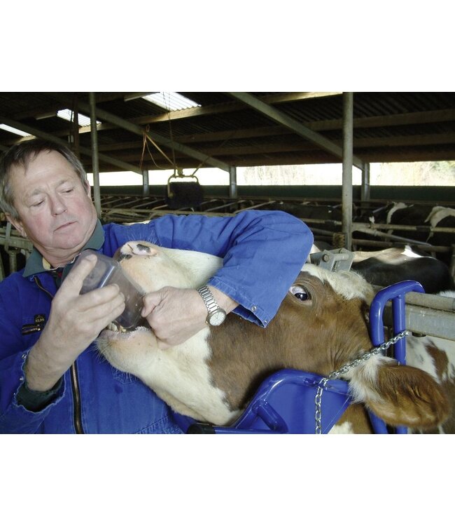 Kopfstütze für Rinder