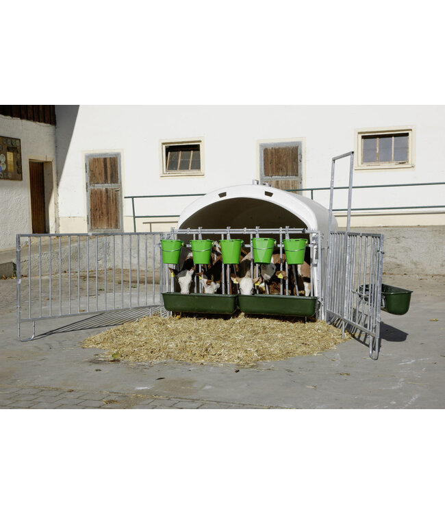 CalfHouse Premium 4/5