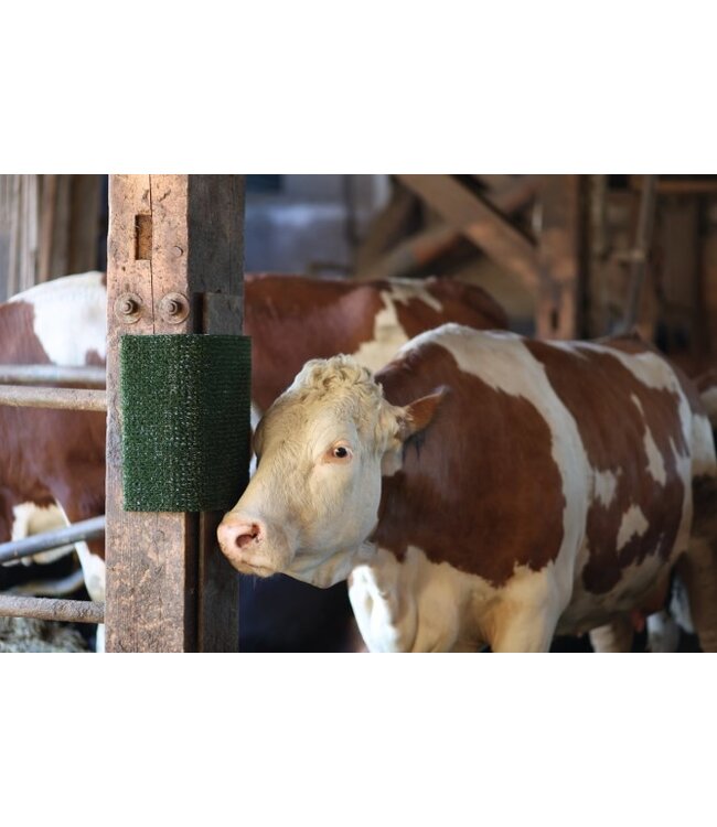 Kratz- und Reinigungsmatte KratzPad