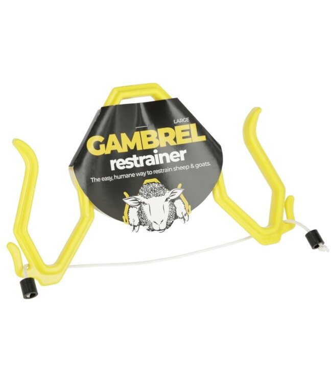 Immobilisierungsbogen GAMBREL