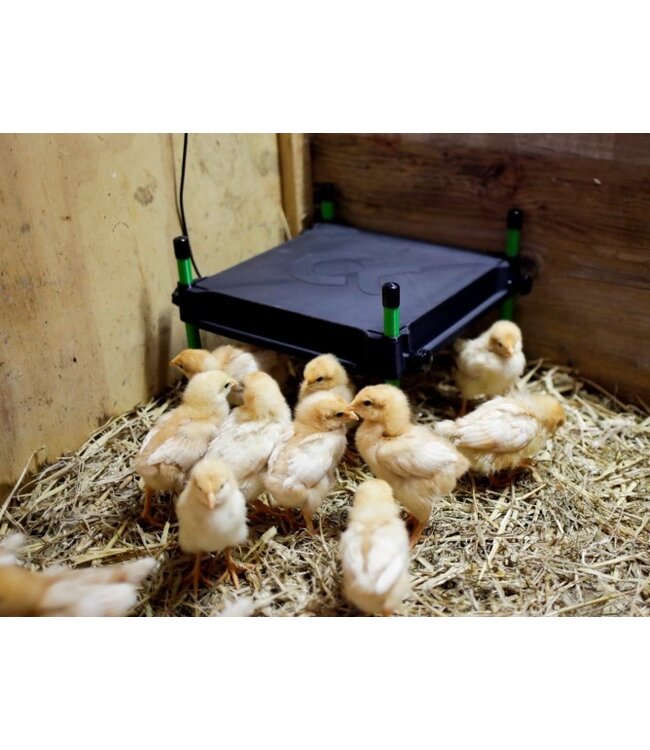 Wärmeplatte CosyHeat