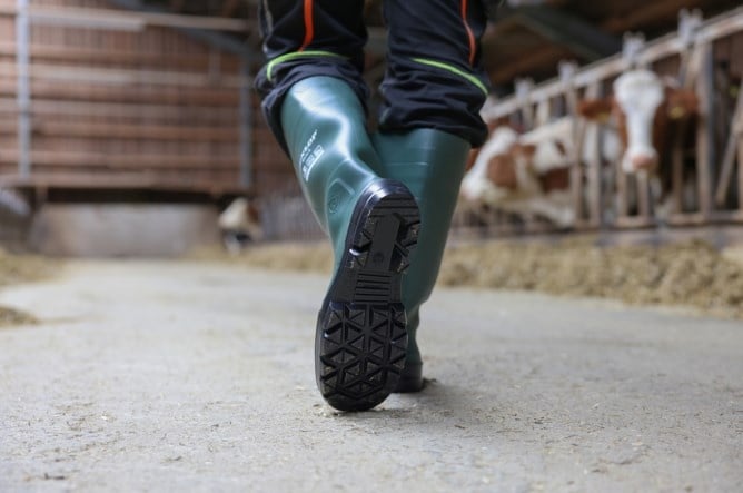 Dunlop Sicherheitsstiefel S5 36-48 Protomastor Gummistiefel Baustiefel Arbeitsstiefel kaufen bei