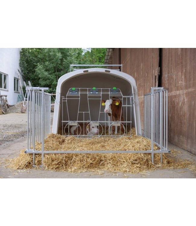 CalfHouse Premium DUO