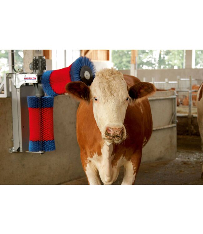 Ersatzbürste vertikal	Polyamid	Schurr (> 2008)