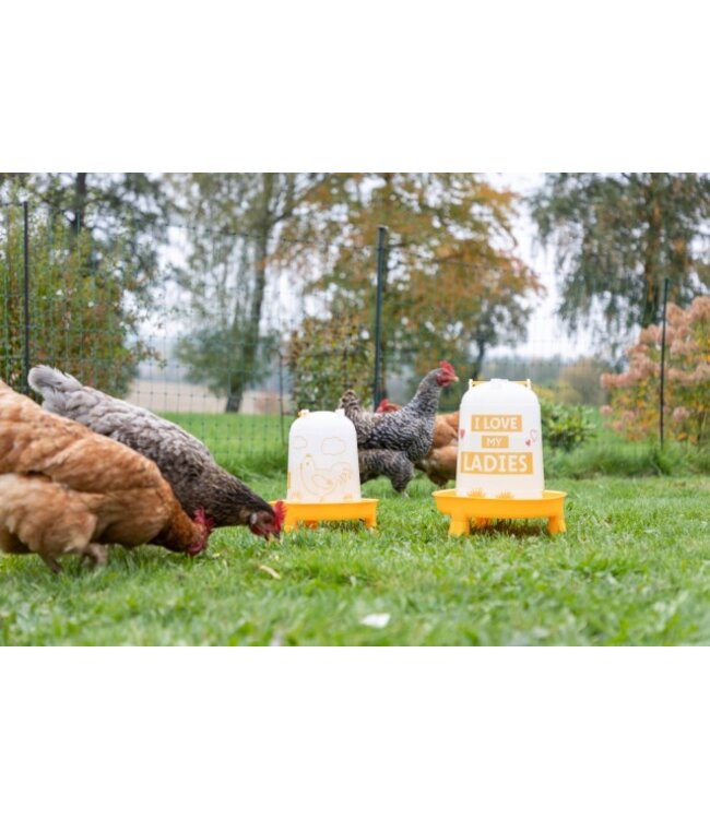 Kunststofftränke mit Motiv Ladies