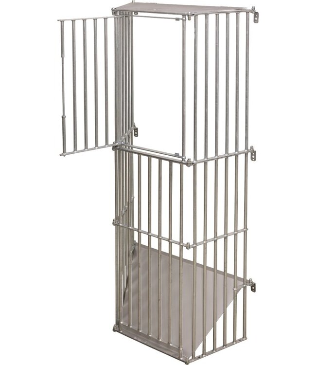 Wandraufe SlowFeed Plus