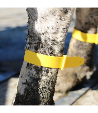 Fesselmarkierungsband Quick Strap