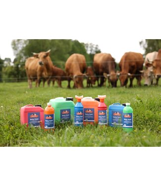 Brunsterkennungsfarbe Daisy Paint