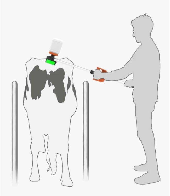 tailpainter Applikator