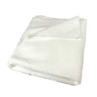 ProNano Chiffon Intérieur en Microfibre XL (Blanc)