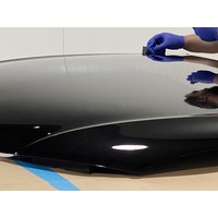 ProNano Pt. Platinum Coating | 2-delige coating