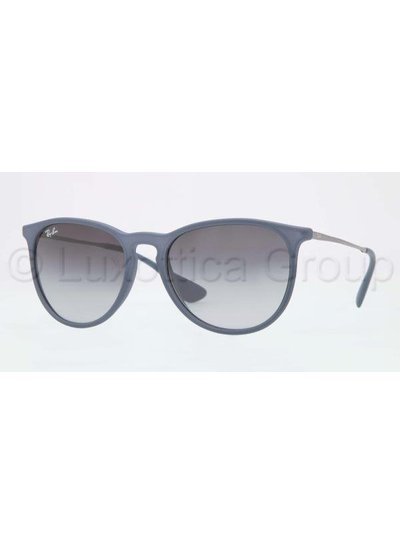 Ray-Ban - Erika RB4171 60028G | Ray-Ban Zonnebrillen | Fuva.nl