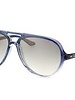 Ray-Ban Cats5000 - RB4125 822/32 | Ray-Ban Zonnebrillen | Fuva.nl