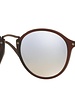 Ray-Ban RB2447N - 62569U | Ray-Ban Zonnebrillen | Fuva.nl