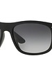 Ray-Ban RB4226 - 601/8G | Ray-Ban Zonnebrillen | Fuva.nl