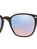 Ray-Ban RB4258 - 62311N | Ray-Ban Zonnebrillen | Fuva.nl