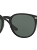 Ray-Ban RB4259 - 601/71 | Ray-Ban Zonnebrillen | Fuva.nl