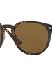 Ray-Ban RB4259 - 710/73 | Ray-Ban Zonnebrillen | Fuva.nl