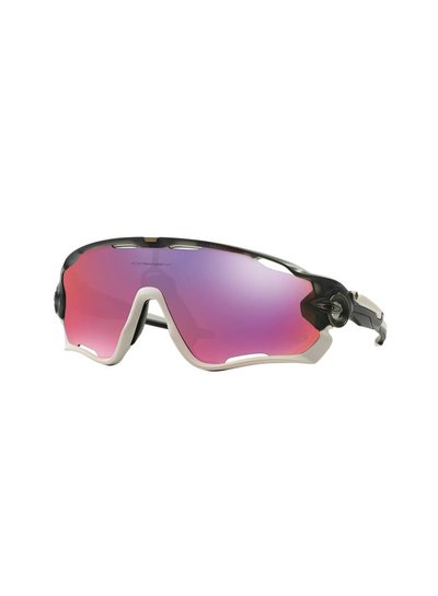 Oakley Jawbreaker OO9290-13