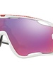 Oakley Jawbreaker OO9290-18