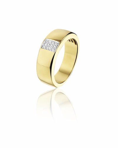 Ewell zegevierend ik ben verdwaald Gouden ring met 12 Diamanten | Trouw- Verlovingsring | Ringen | Sieraden  online bestellen | Fuva.nl -