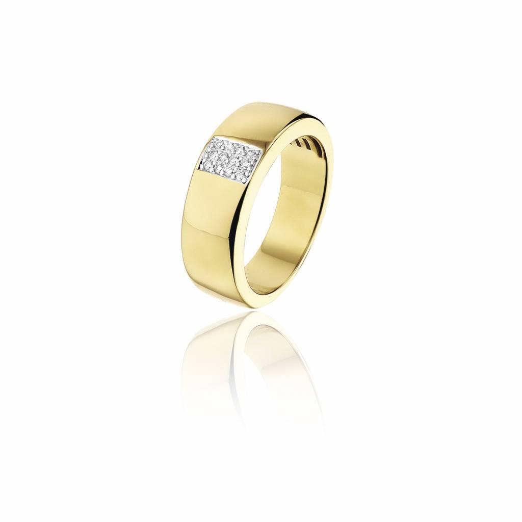 Dialoog Vliegveld Boekwinkel Gouden ring met 12 Diamanten | Trouw- Verlovingsring | Ringen | Sieraden  online bestellen | Fuva.nl -