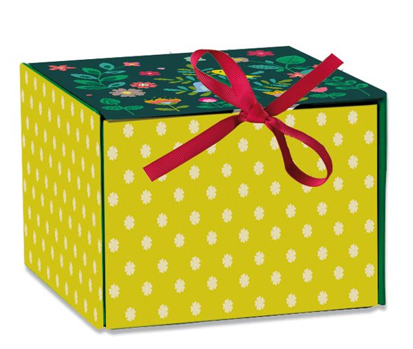 Atomic Soda Juwelendoos met 6 vakjes, thema vogels