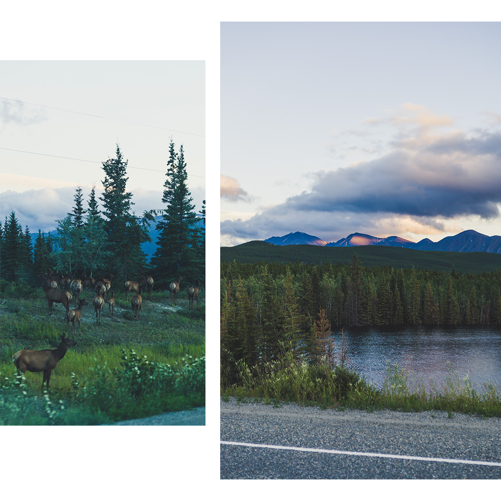 Der Norden von Kanada: Aud dem Alaska Highway Richtung Kluane Nationalpark