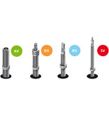 Schwalbe Inner Tubes