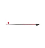 Dynastar Kerma Vector Series Ski Poles