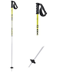 Salomon X 08 Pole