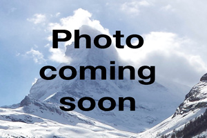 DVS South Bank Tee * Blk