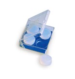 Zoggs Zoggs Silicone Ear Plugs