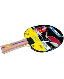 Schildkrot Cooke TT Bat
