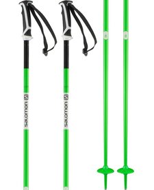 Salomon Arctic Pole
