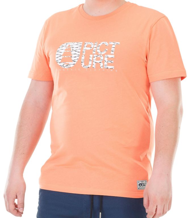 Picture Picture Basement Tee