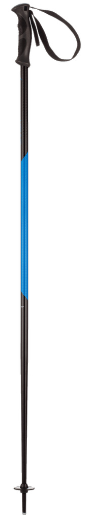 Head Head Multi S Ski Pole