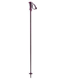 Salomon Arctic Lady Pole