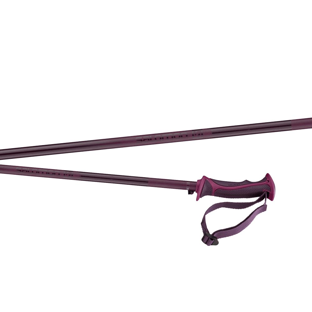 Salomon Salomon Arctic Lady Pole