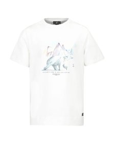 Picture D&S Polar Tee
